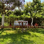 Villa Eleni Holidays Resort Pool Exclusively For Guests Near The Beach Sidari (Corfu)