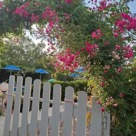 Eleni Holidays - With Pool Near The